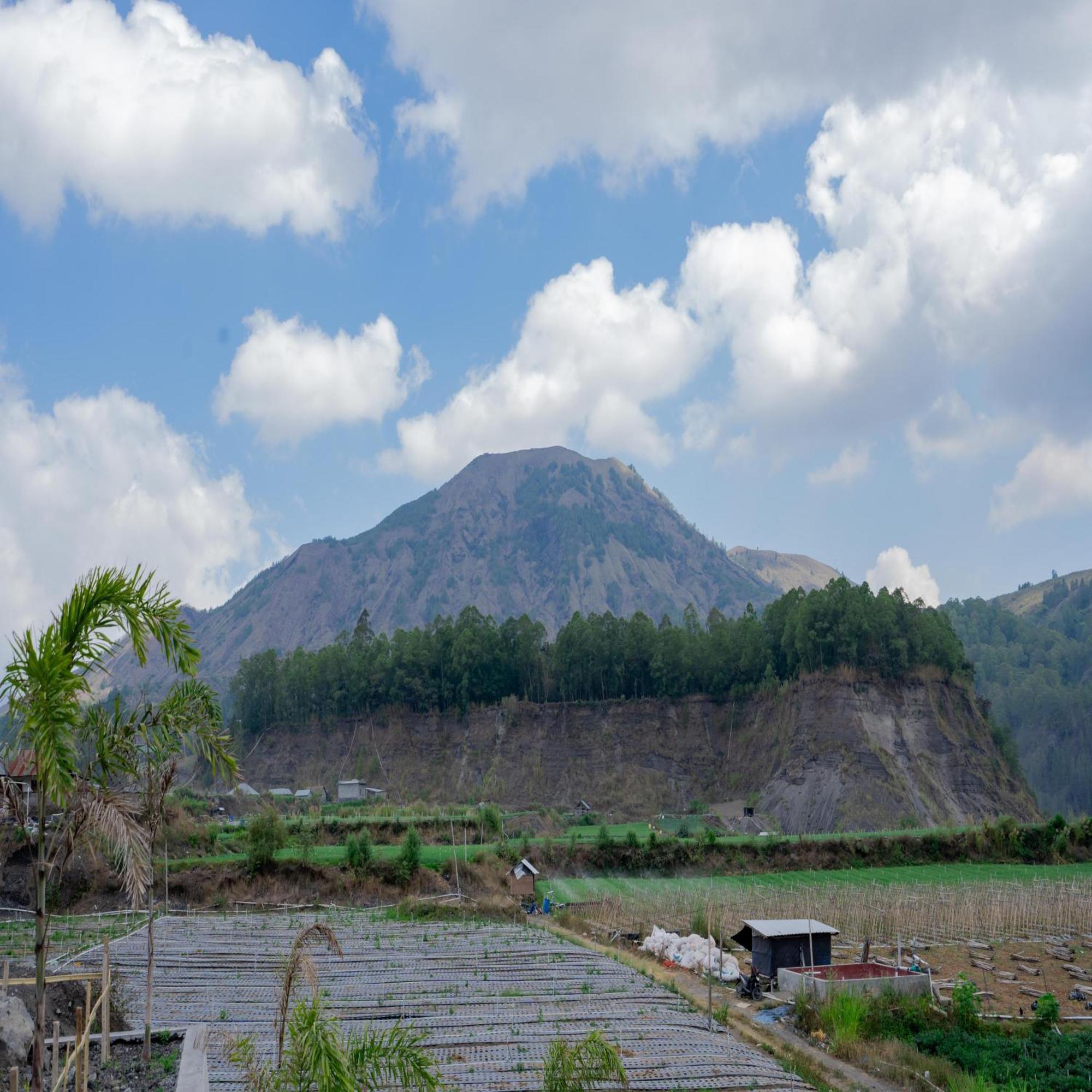 Batur Kencana Villa Mitra Reddoorz Baturaja  Exterior photo